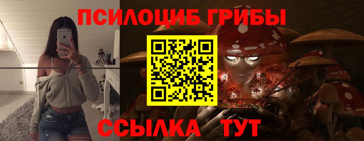 Вязьма  Псилоцибиновые грибы мухоморы  Вход с VPN 